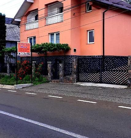 Pensiunea Anca Rona de Jos Zewnętrze zdjęcie
